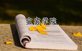 宜宾学院2024在河北录取分数线是多少？最低504分/最高548分