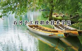 2024石河子工程职业技术学院录取分数线：青海最低234分