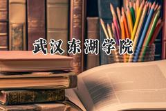 武汉东湖学院2024在江苏录取分数线是多少？最低264分/最高490分
