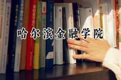 哈尔滨金融学院2024在河北录取分数线是多少？最低515分/最高543分