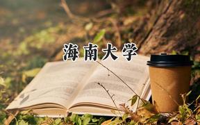海南大学2024在江苏录取分数线是多少？最低546分/最高601分