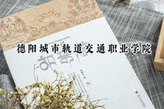 德阳城市轨道交通职业学院2024在山西录取分数线是多少？最低180分/最高226分