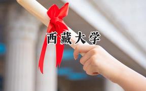 2024西藏大学录取分数线：江苏最低551分