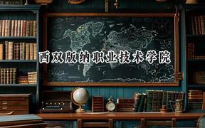 西双版纳职业技术学院2024在贵州录取分数线是多少？最低316分/最高406分
