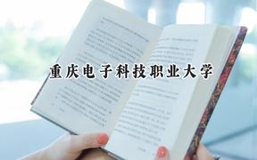 2024重庆电子科技职业大学录取分数线：江苏最低426分