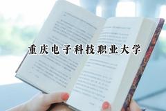2024重庆电子科技职业大学录取分数线：江苏最低426分