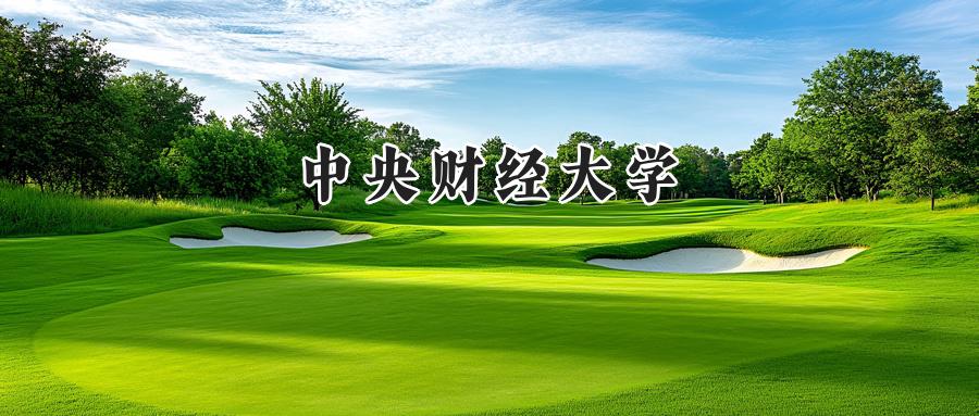 中央财经大学