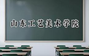 2024山东工艺美术学院录取分数线：江苏最低507分