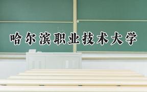 哈尔滨职业技术大学2024在内蒙古录取分数线是多少？最低266分/最高410分