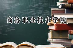 商洛职业技术学院2024在四川录取分数线是多少？最低393分/最高419分