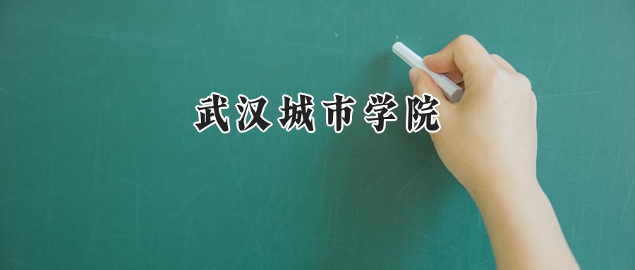 武汉城市学院