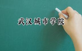 武汉城市学院2024在江苏录取分数线是多少？最低464分/最高500分