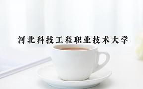2024河北科技工程职业技术大学录取分数线：江苏最低239分