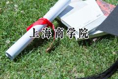 上海商学院2024在上海录取分数线是多少？最低239分/最高473分