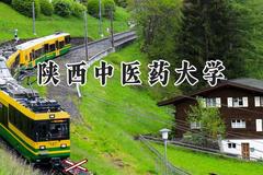 2024陕西中医药大学录取分数线：新疆最低440分