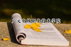 广元中核职业技术学院2024在内蒙古录取分数线是多少？最低267分/最高337分