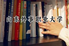 2024山东外事职业大学录取分数线：山西最低223分