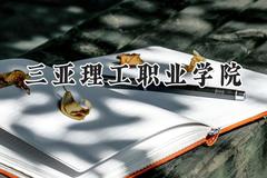 2024三亚理工职业学院录取分数线：青海最低220分