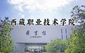 2024西藏职业技术学院录取分数线：江苏最低284分