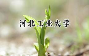 2024河北工业大学录取分数线：青海最低452分