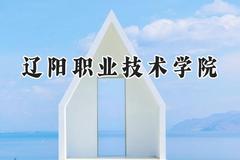 2024辽阳职业技术学院录取分数线：青海最低271分
