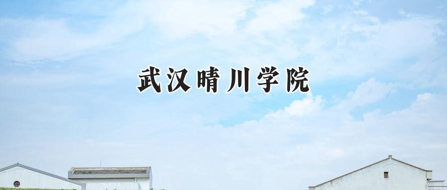 武汉晴川学院