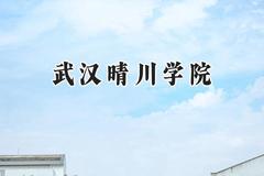 2024武汉晴川学院录取分数线：江苏最低463分