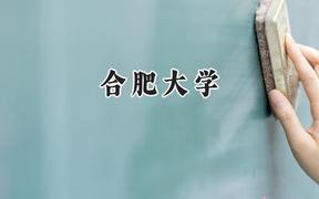 2024合肥大学录取分数线：天津最低523分