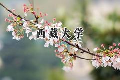 西藏大学2024在贵州录取分数线是多少？最低506分/最高572分