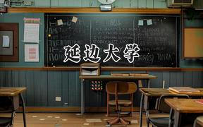 延边大学2024在上海录取分数线是多少？最低485分/最高498分