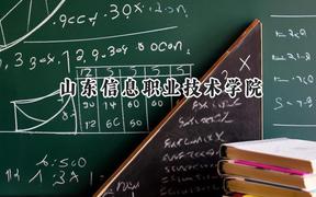 山東信息職業(yè)技術(shù)學院2024在山西錄取分數(shù)線是多少？最低320分/最高393分