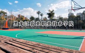 黑龙江农业职业技术学院2024在贵州录取分数线是多少？最低205分/最高398分
