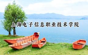 上海电子信息职业技术学院2024在江苏录取分数线是多少？最低428分/最高450分
