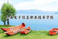 上海电子信息职业技术学院2024在江苏录取分数线是多少？最低428分/最高450分