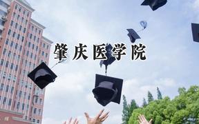 2024肇庆医学院录取分数线：青海最低312分