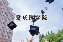 2024肇庆医学院录取分数线：青海最低312分