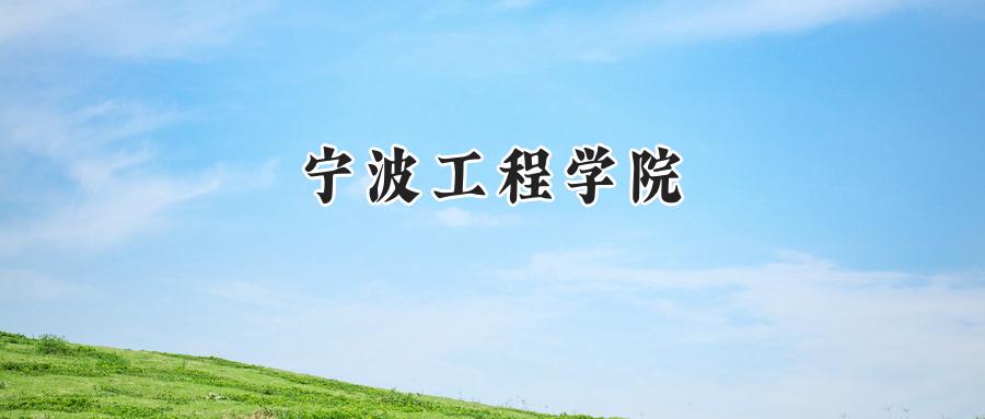 宁波工程学院