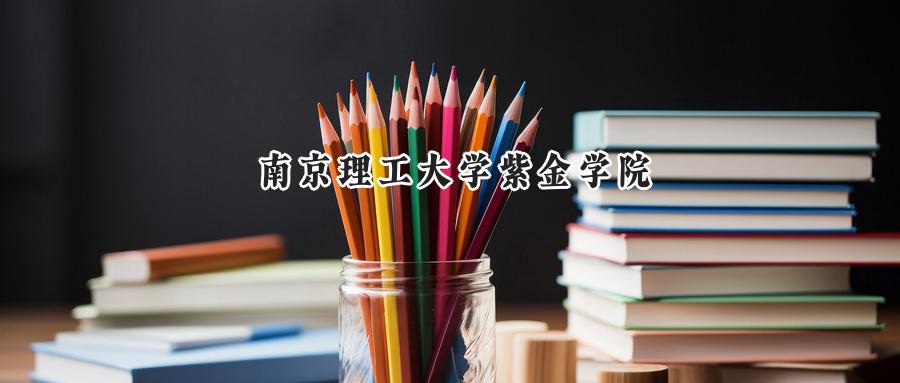 南京理工大学紫金学院