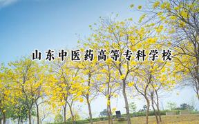 山东中医药高等专科学校2024在四川录取分数线是多少？最低455分/最高467分