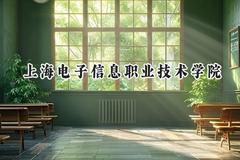 2024上海电子信息职业技术学院录取分数线：宁夏最低358分