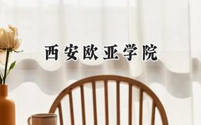 2024西安欧亚学院录取分数线：江苏最低462分