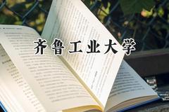 齐鲁工业大学2024在山西录取分数线是多少？最低491分/最高532分