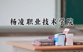2024杨凌职业技术学院录取分数线：山西最低319分