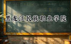 黑龙江民族职业学院2024在内蒙古录取分数线是多少？最低213分/最高368分