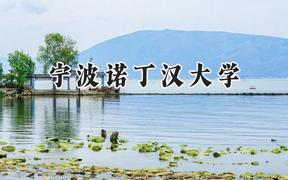 2024宁波诺丁汉大学录取分数线：山西最低531分