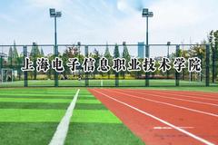 2024上海电子信息职业技术学院录取分数线：江苏最低428分