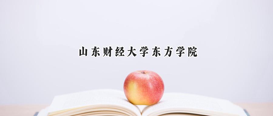 2024山东财经大学东方学院录取分数线：天津最低485分-第1张图片-索考网
