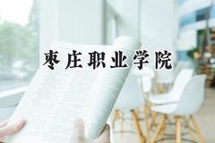 枣庄职业学院2024在辽宁录取分数线是多少？最低308分/最高407分