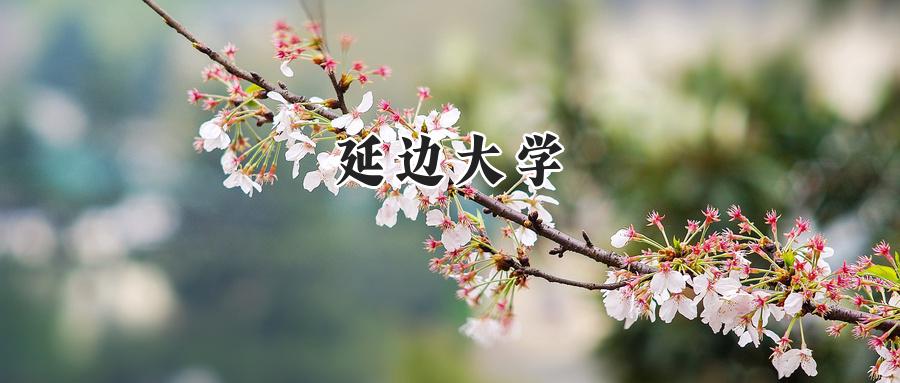 延边大学