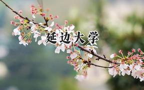 延边大学2024在浙江录取分数线是多少？最低594分/最高639分